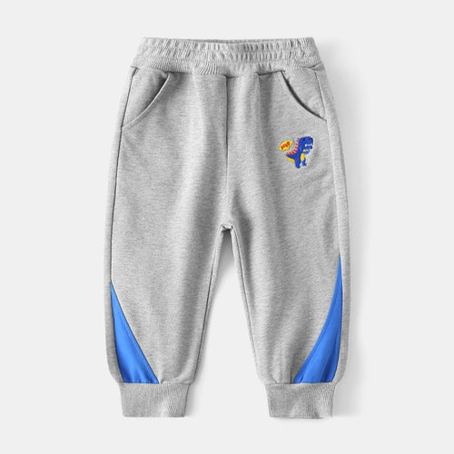 Baby dinosaur embroidered sweatpants